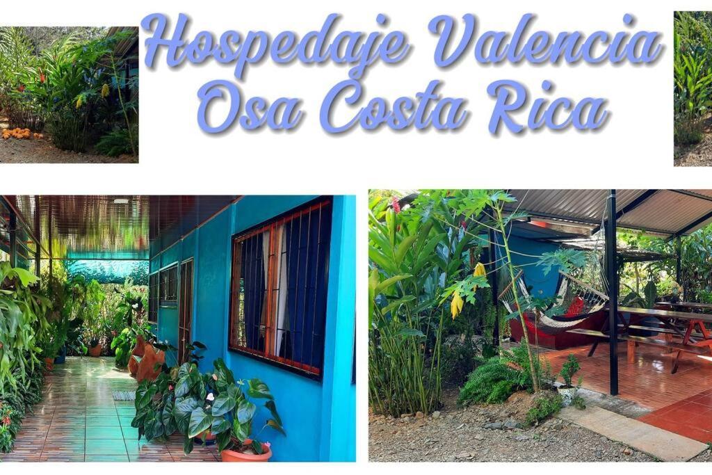 Hospedaje Valencia Osa, Cr Potrero (Puntarenas) Exterior foto
