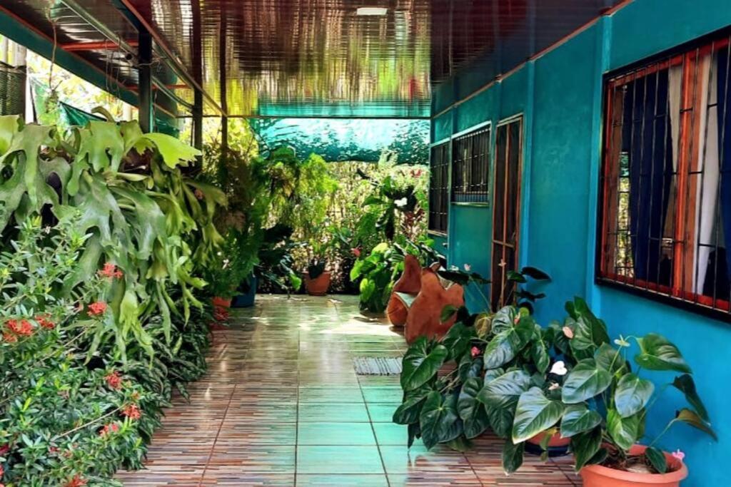 Hospedaje Valencia Osa, Cr Potrero (Puntarenas) Exterior foto