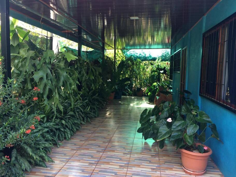Hospedaje Valencia Osa, Cr Potrero (Puntarenas) Exterior foto