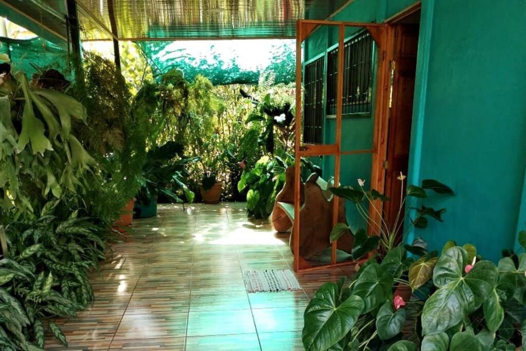 Hospedaje Valencia Osa, Cr Potrero (Puntarenas) Exterior foto